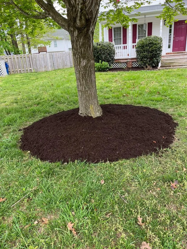 Top-rated landscape design in Ashland, VA by Salazar A Landscaper