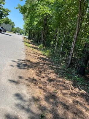 Salazar A Landscaper