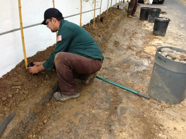 Custom yard maintenance near you across Burbank, CA - Salazar Landscape