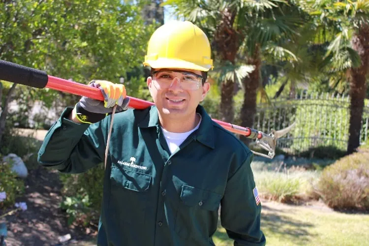 Top-rated outdoor landscaping in Burbank, CA by Salazar Landscape