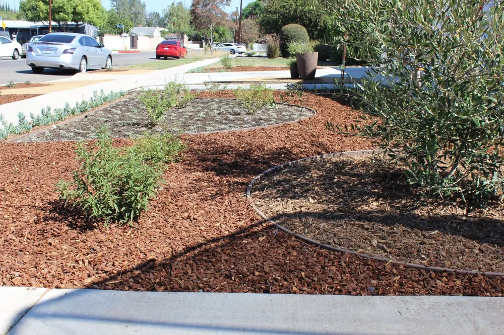 Top-rated outdoor landscaping in Burbank, CA - Salazar Landscape