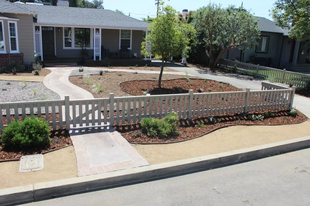 Custom yard cleanup service in Burbank, CA by Salazar Landscape