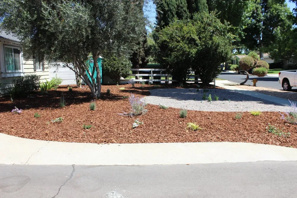 Local lawn mowing service in Burbank, CA - Salazar Landscape