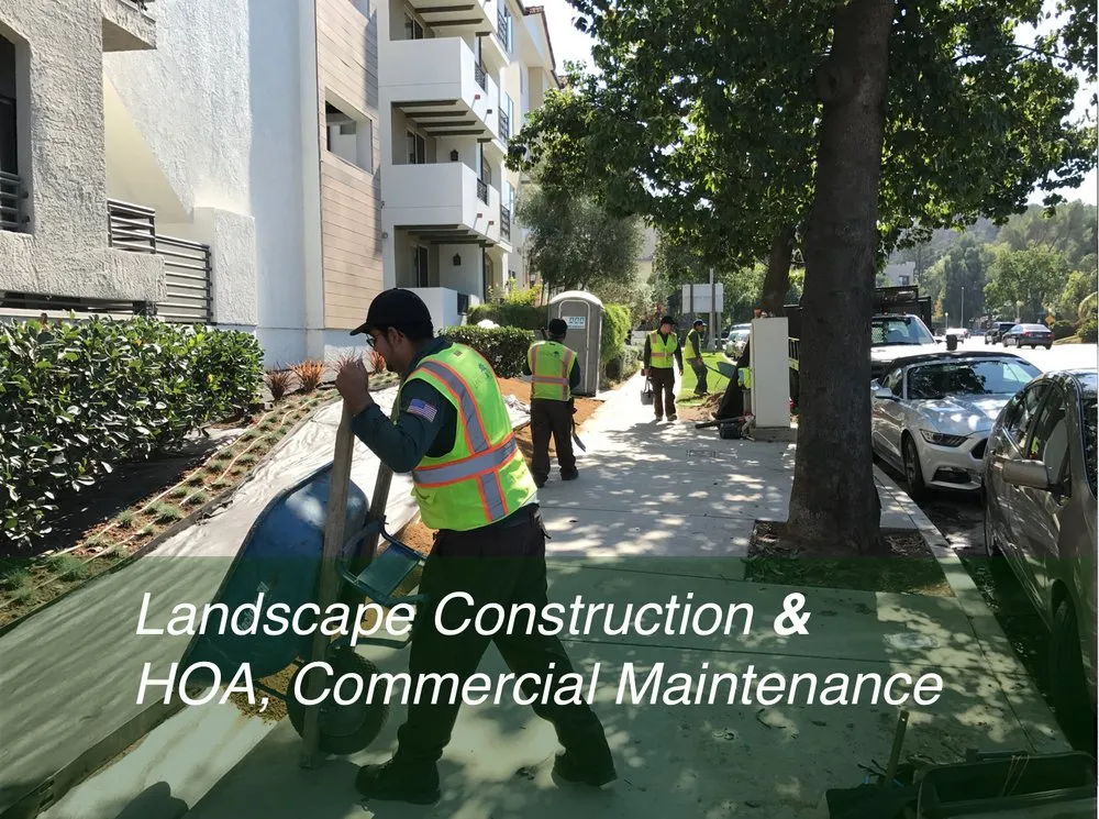 Local yard cleanup service for year-round maintenance in Burbank, CA by Salazar Landscape