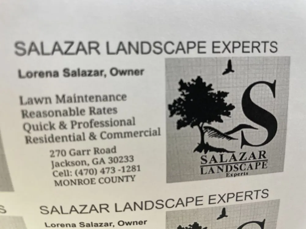 Expert yard cleanup service experts serving Jackson, GA - Salazar Landscape Experts