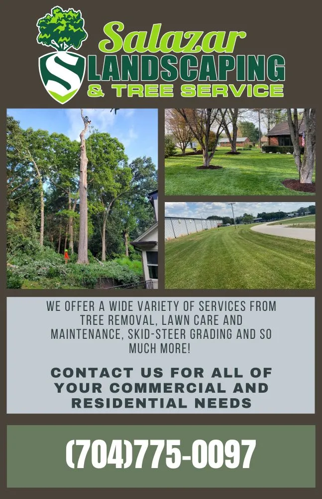 Expert landscape installation in Cleveland, NC - Salazar Landscaping And Tree Services