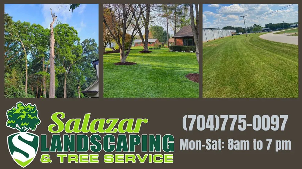 Reliable yard cleanup service experts serving Cleveland, NC - Salazar Landscaping And Tree Services
