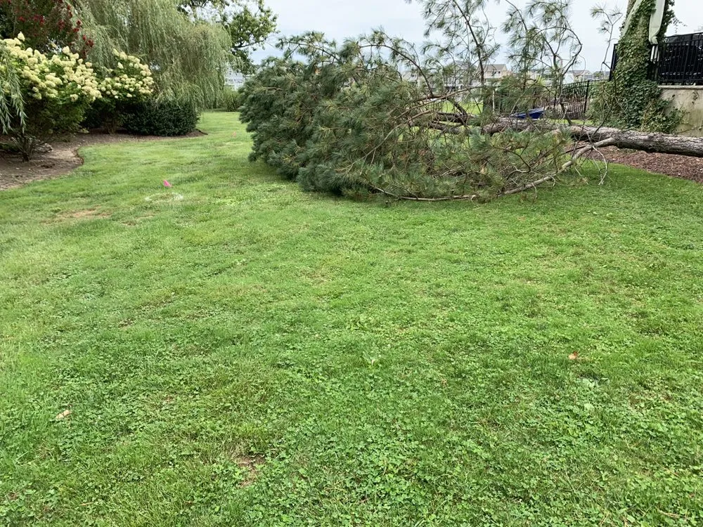 Top-rated outdoor landscaping in Jamesburg, NJ - Salazar Landscaping Commericial