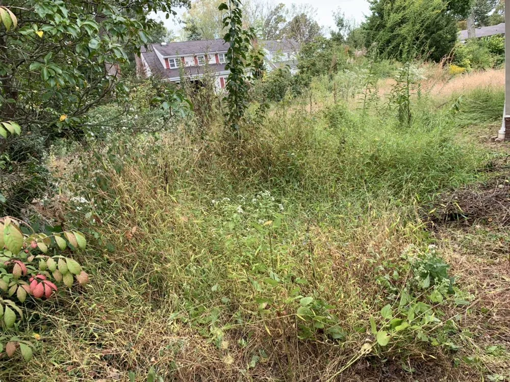 Affordable lawn care service in Jamesburg, NJ by Salazar Landscaping Commericial