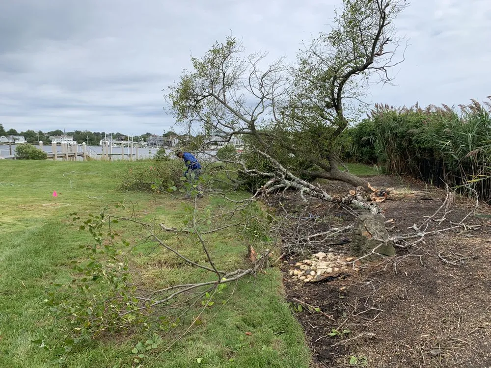 Affordable lawn care service experts serving Jamesburg, NJ - Salazar Landscaping Commericial