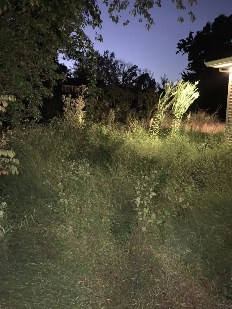 Affordable landscaping services experts serving Jamesburg, NJ - Salazar Landscaping Commericial