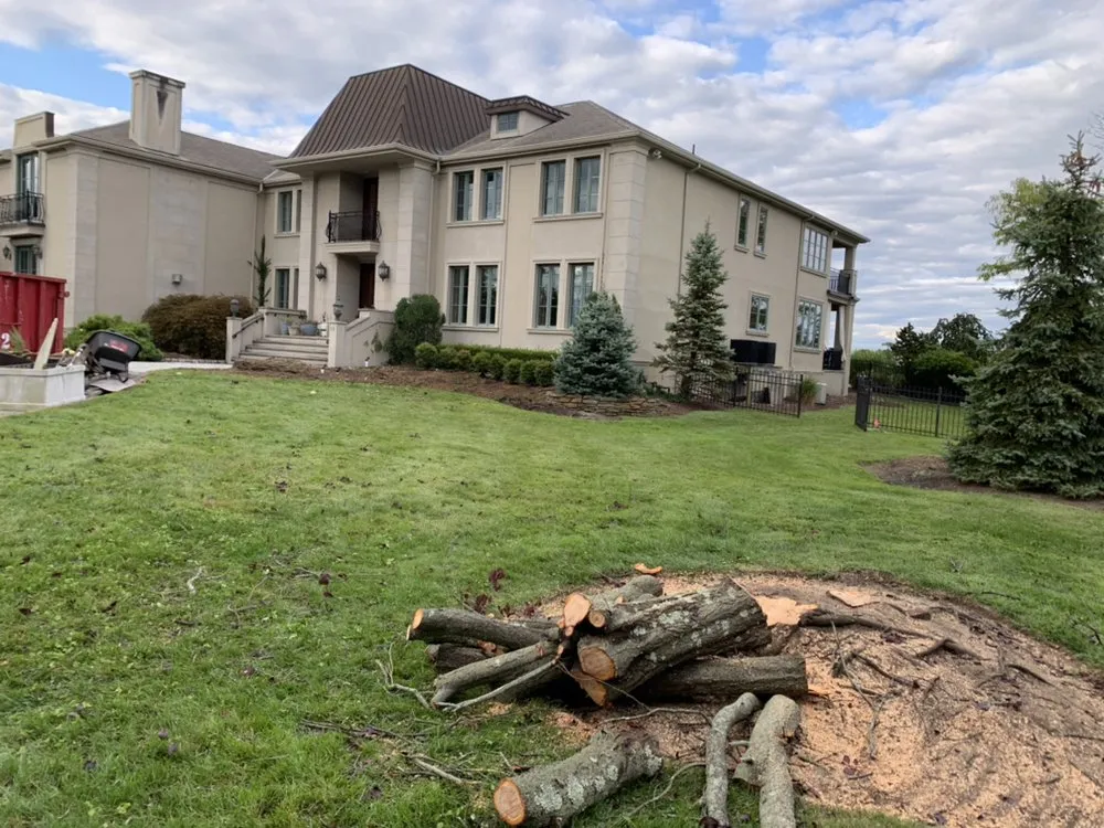 Professional yard maintenance in Jamesburg, NJ by Salazar Landscaping Commericial