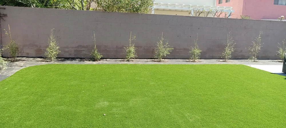 Reliable lawn mowing service in Inglewood, CA - Salazar Landscaping