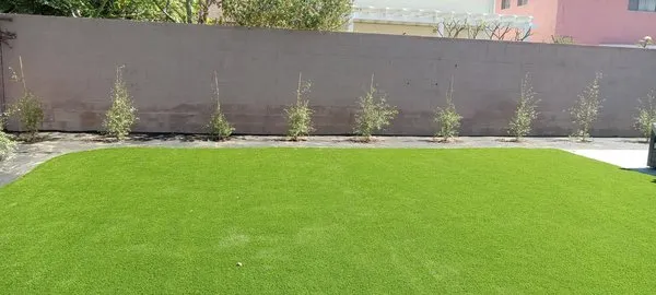 Salazar Landscaping Logo