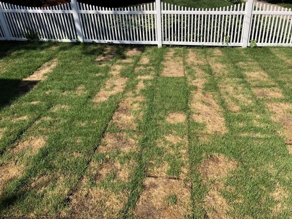 Custom residential landscaping for residential properties across Passaic, NJ - Salazar landscaping