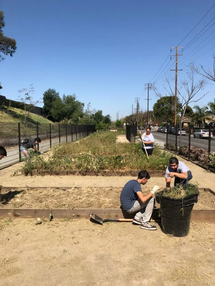 Trusted garden landscaping in South Gate, CA - Salazar Landscaping