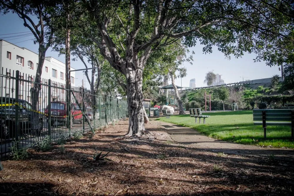 Top-rated garden landscaping experts serving South Gate, CA - Salazar Landscaping