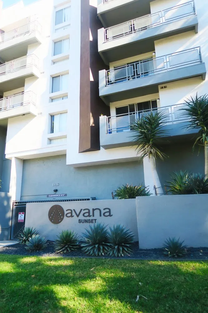 Custom residential landscaping in South Gate, CA by Salazar Landscaping