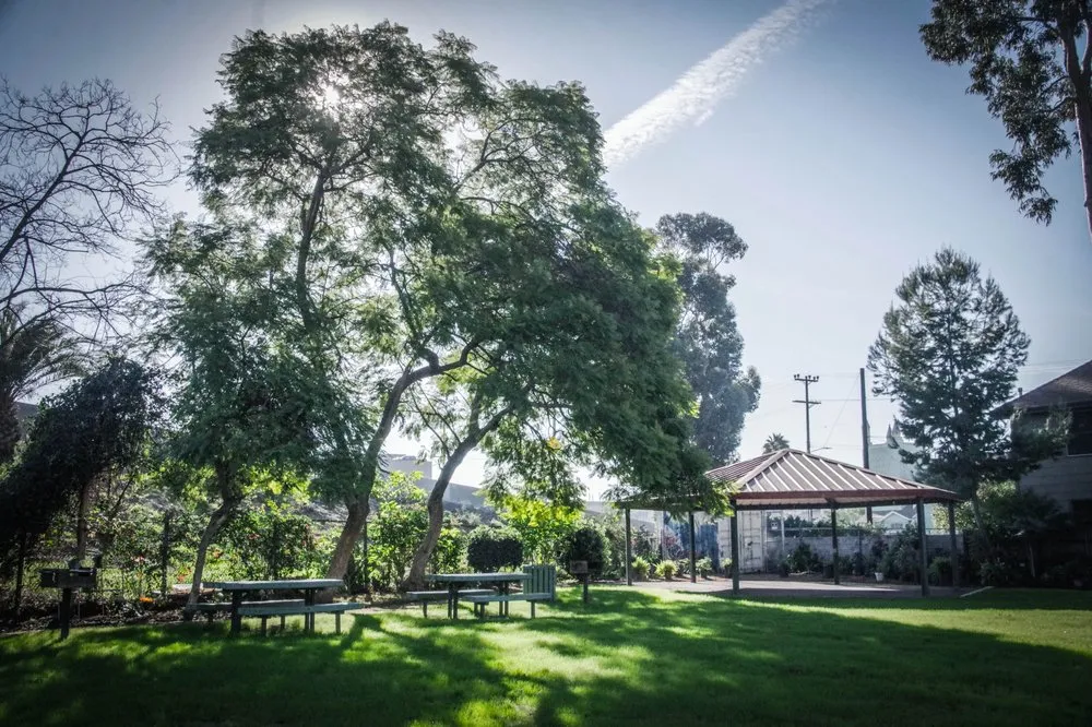 Local yard maintenance experts serving South Gate, CA - Salazar Landscaping