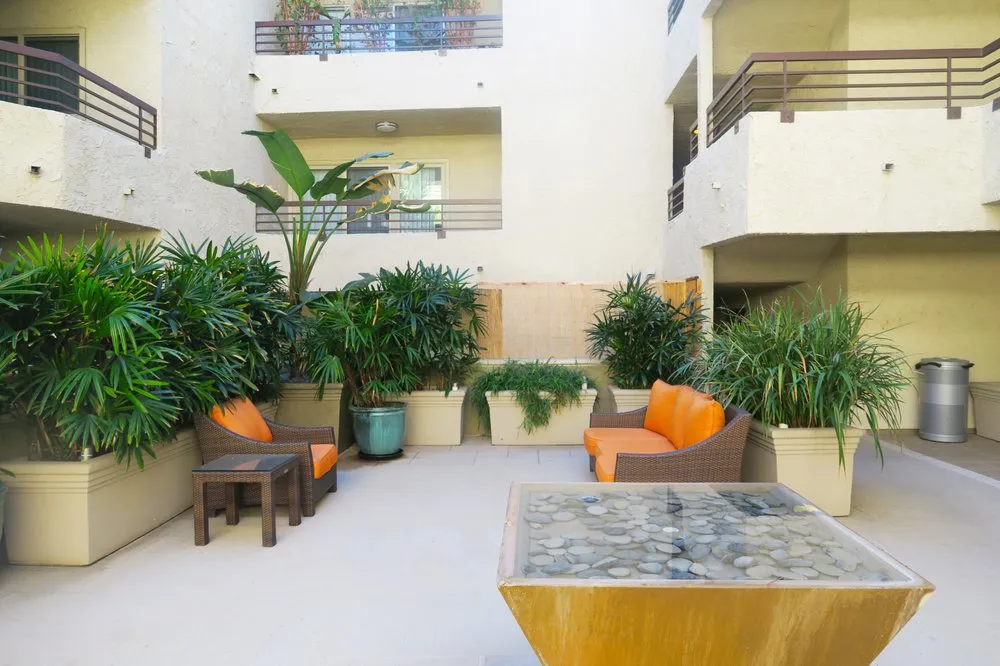 Expert yard cleanup service in South Gate, CA by Salazar Landscaping