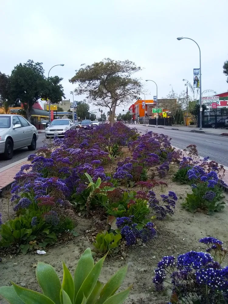 Affordable garden landscaping experts serving South Gate, CA - Salazar Landscaping