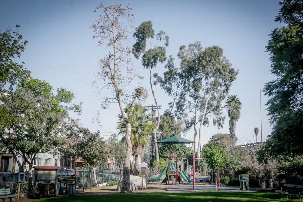 Reliable garden landscaping in South Gate, CA - Salazar Landscaping