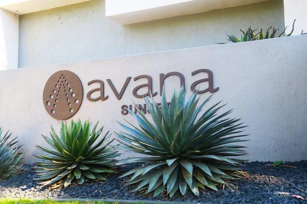 Reliable lawn mowing service in South Gate, CA - Salazar Landscaping