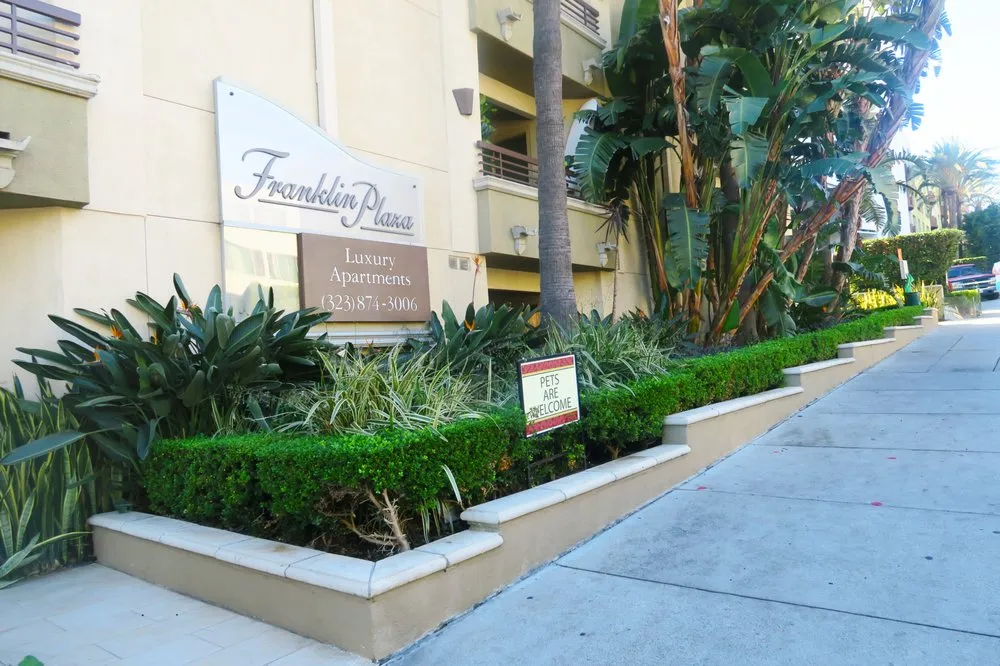 Reliable yard maintenance for residential properties in South Gate, CA by Salazar Landscaping