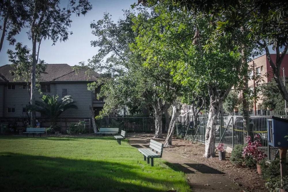 Local landscape design near you across South Gate, CA - Salazar Landscaping