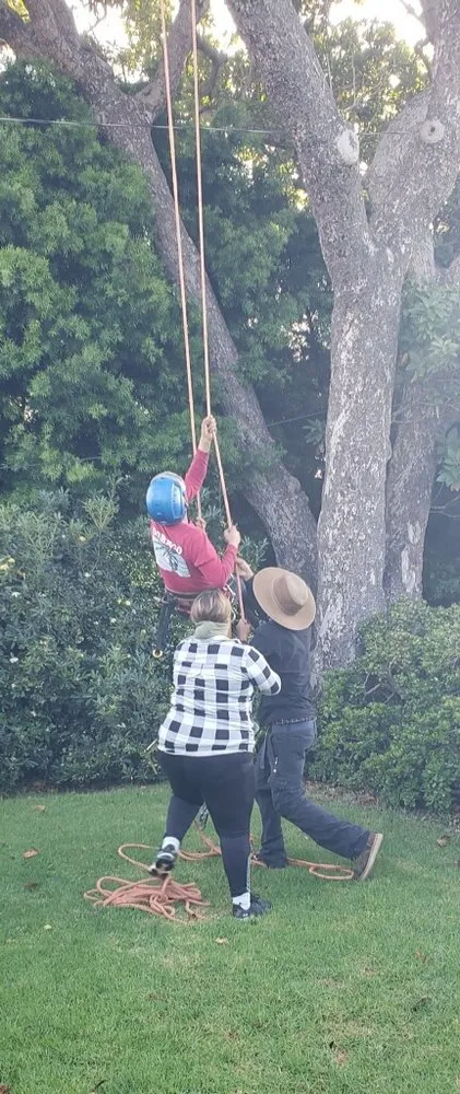 Trusted outdoor landscaping with custom design in Ventura, CA by Salazar Landscaping