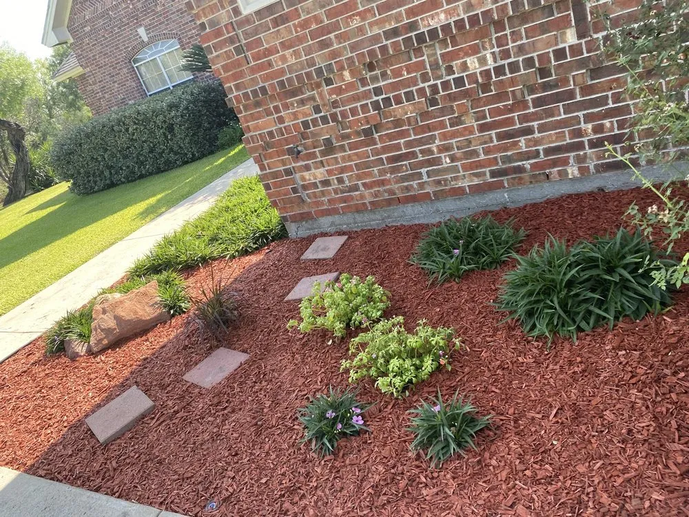 Local landscape installation in Kingsville, TX by Salazar Lawn Care