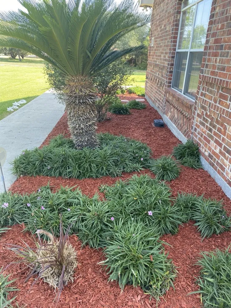 Expert yard maintenance in Kingsville, TX - Salazar Lawn Care