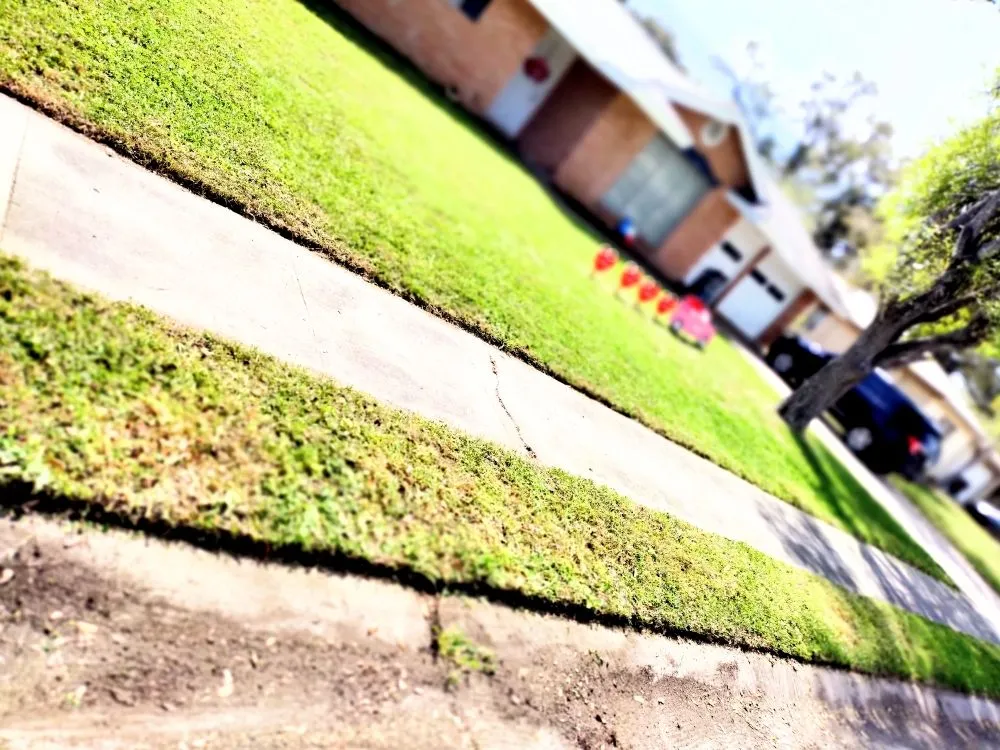 Expert garden landscaping with custom design in Kingsville, TX by Salazar Lawn Care