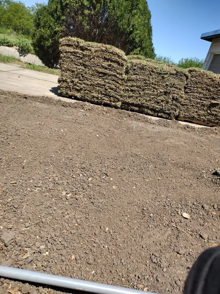 Trusted yard maintenance experts serving Kingsville, TX - Salazar Lawn Care