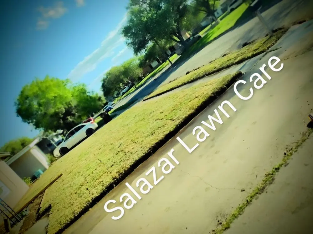Affordable lawn mowing service for homes in Kingsville, TX by Salazar Lawn Care
