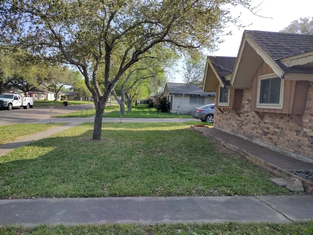 Reliable lawn mowing service in Kingsville, TX - Salazar Lawn Care