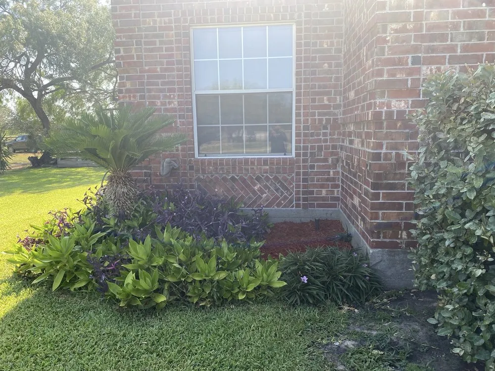 Affordable landscape installation in Kingsville, TX - Salazar Lawn Care