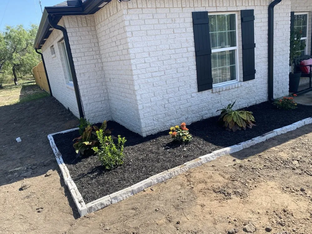 Expert yard cleanup service in Kingsville, TX by Salazar Lawn Care