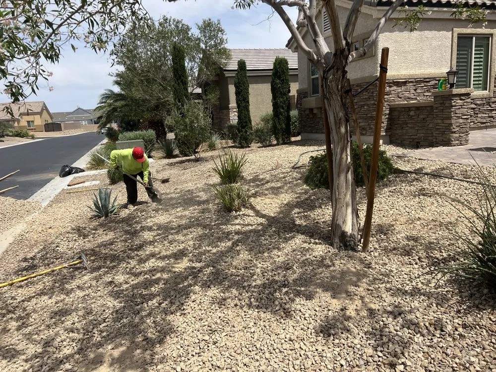 Expert outdoor landscaping for homes in North Las Vegas, NV by Salazar Lawn Maintenance
