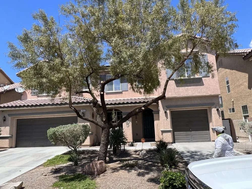 Reliable residential landscaping experts serving North Las Vegas, NV - Salazar Lawn Maintenance