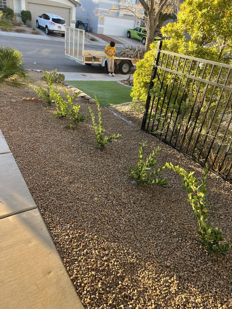 Expert landscaping services experts serving North Las Vegas, NV - Salazar Lawn Maintenance