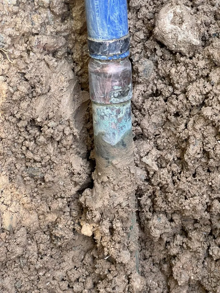 Trusted yard cleanup service for residential properties in North Las Vegas, NV by Salazar Lawn Maintenance