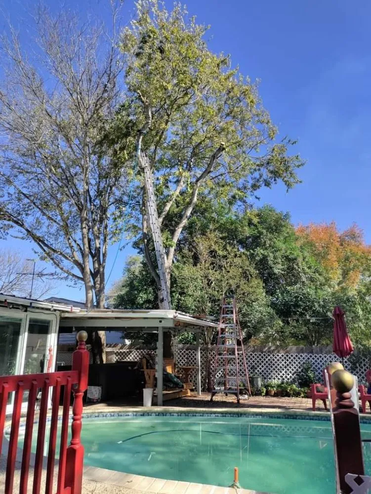 Affordable landscape installation for outdoor upgrades across San Antonio, TX - Salazar Services