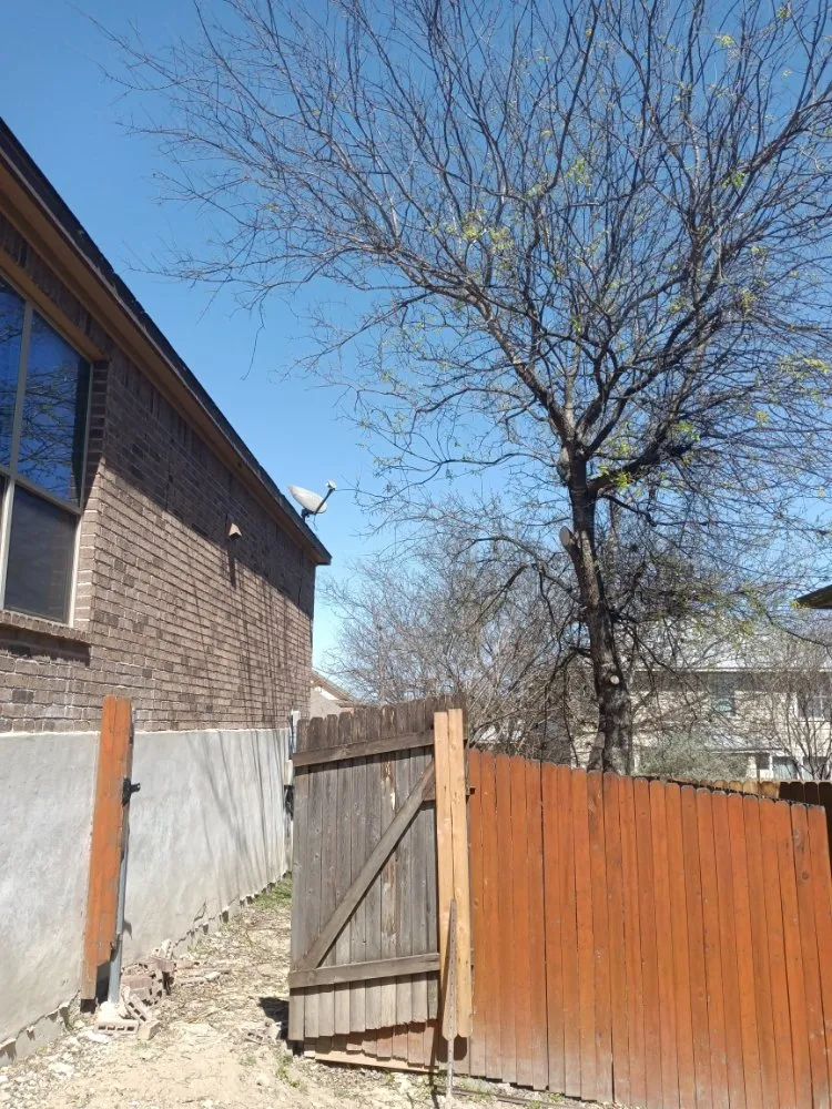 Trusted lawn mowing service experts serving San Antonio, TX - Salazar Services