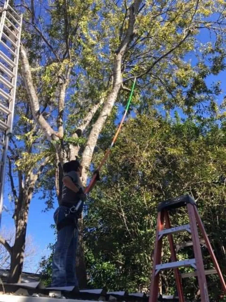 Trusted lawn care service in San Antonio, TX - Salazar Services