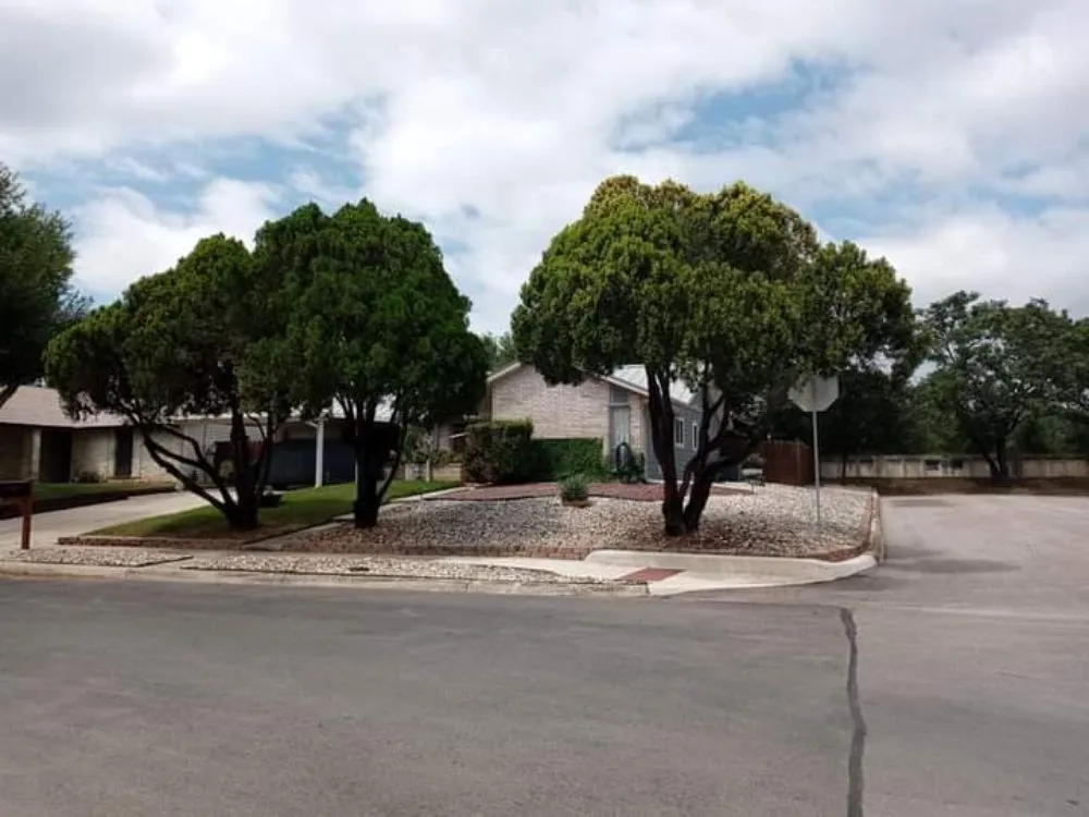 Top-rated residential landscaping experts serving San Antonio, TX - Salazar Services