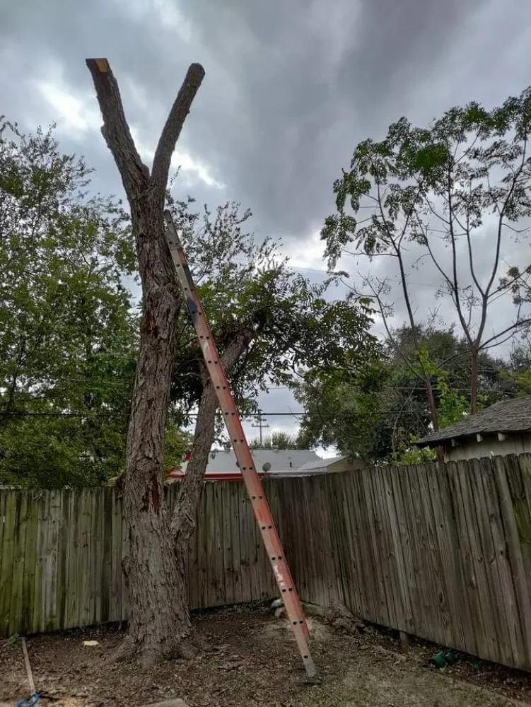 Custom landscape design experts serving San Antonio, TX - Salazar Services