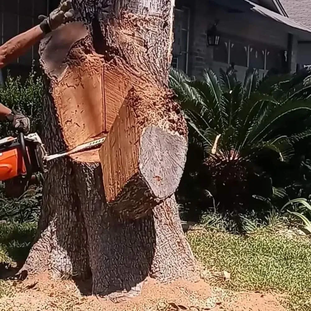 Affordable outdoor landscaping for residential properties across San Antonio, TX - Salazar Services