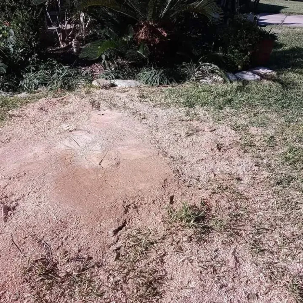 Custom landscape installation in San Antonio, TX by Salazar Services