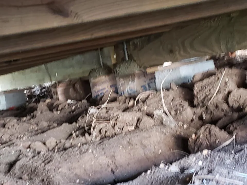 Professional residential landscaping experts serving San Antonio, TX - Salazar Solutions & Foundation Repair